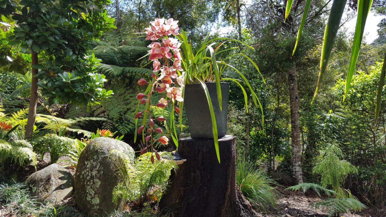 Villa Warblers Retreat Auckland Exterior foto